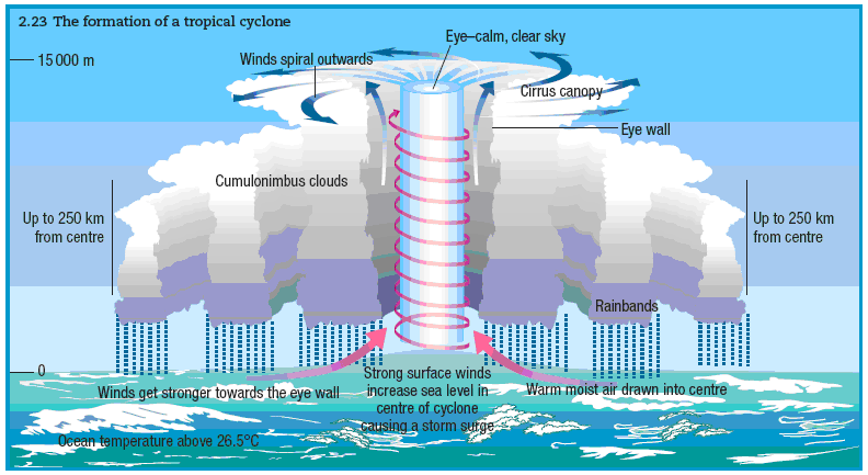 Tropical Cyclone: Formation and Development